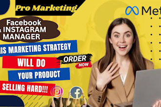 run facebook ads, campaign, fb ads manager, instagram ads, lead generatio