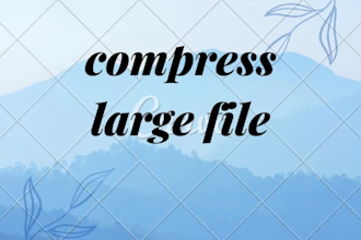compress your large file or data at low price