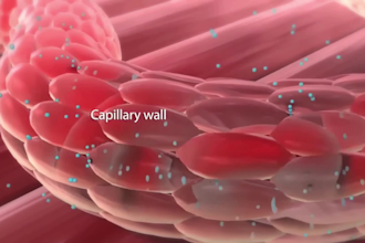 create 3d medical animation, drug mechanism and healthcare explainer video