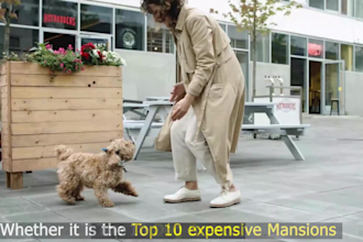 create top 10 cash cow video faceless cash cow editor cash cow channel