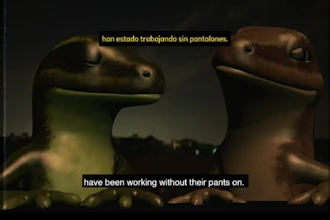 add srt subtitles or captions in turkish, spanish or english