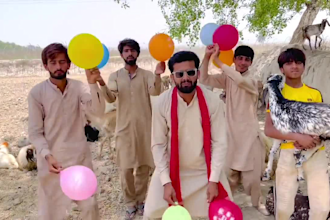 do funny and crazy dance or african happy birthday video