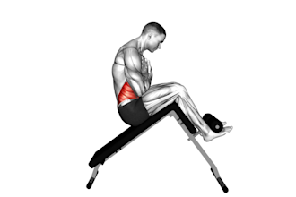 create workout animations videos about anatomy of fitness and bodybuilding