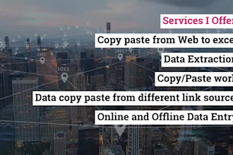 be your long term virtual assistant for data entry in all formats