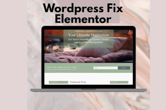 fix elementor issue and provide wordpress maintenance with virtual assistant
