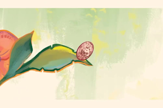 create animated children book for promotional trailer