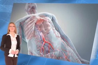 create 3d medical animation 3d orthopedic animation medical 3d surgery animation