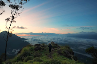 do professional travel, vlog, drone, and gopro video editing
