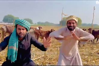 wish a funny happy birthday video