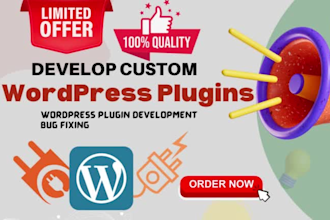 customization wordpress plugin, API integration, payment gateways
