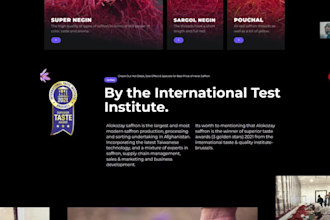 design custom wordpress websites, an afghan designer