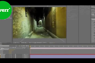 do PROFESSIONAL Video Editing within 12hrs