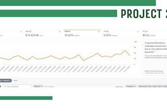 manage amazon PPC campaign optimization