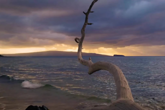 create meditation, relaxing nature music videos for youtube