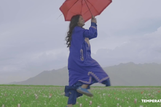 do professional color grading