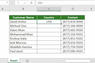 clean, enter, format, analyze, split excel data