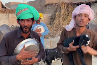 do funny african happy birthday video with my friends or goats
