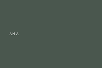 design basic visual identity