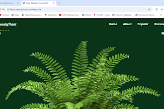 provide custom web development services