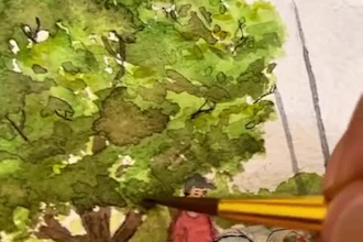 draw pen and ink, watercolor illustrations colorful or colorless