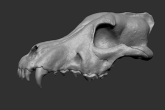 create a 3d model of any creature and animal