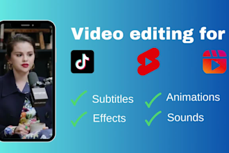 edit tiktoks, ig reels and shorts with subtitles and animation