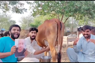 do a funny happy birthday video