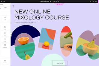 design, develop wordpress website using elementor