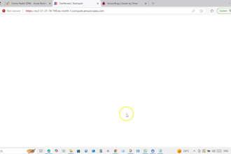 manually test your website or mobile app and report bugs