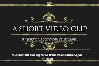 do video editing superfast