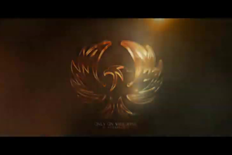 create custom 2d, 3d logo animations and design or intro outro