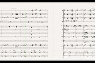 do musical arrangement of any songs for solo instrument or orchestra