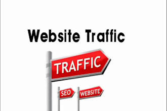 send 100 daily real people website traffic visitors