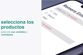 create a professional, responsive and manageable web design with wordpres