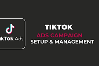run tiktok ads, tiktok ads campaign, tiktok advertising