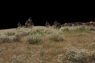 remove green screen, roto, keying, mask, and rotoscope