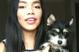 do a custom tiktok dog video