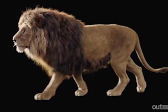 do 3d animal animation, 3d creature modeling with xgen hair and realistic fur