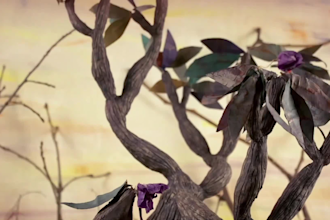 make a stop motion animation for you