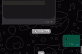do whatsapp clone socketio mongodb flutter,admin,web,mobile,macos,windows