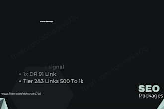 provide high quality diverse link building seo service