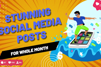 design ,plan, schedule and publish content on instagram stories,posts ,carousel