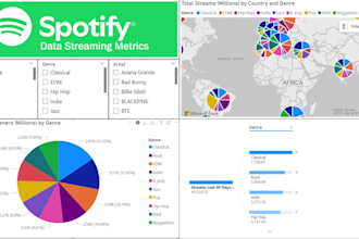 design a custom interactive power bi dashboard for you