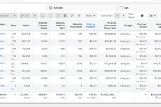 build a automated shopify dropshipping store shopify website