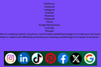 be  your professional social media marketing manager