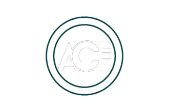 do custom logo animation in 24 hours