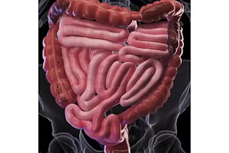 create 3d medical animation, 3d medical products, 3d medical procedure, surgery