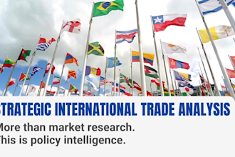 strategic international trade analysis