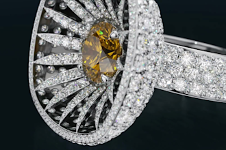 design jewelery and provide charming renders and animations