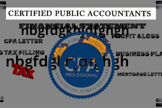external audits for non profits, CPA ownership letter, financial forecasting